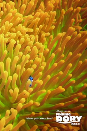 Find Dory